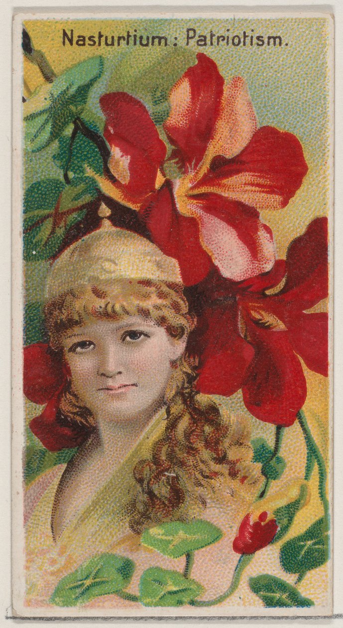 Nasturtium: الوطنية ، من سلسلة الجمال الزهري ولغة الزهور N75 لـ ... ، 1892. بواسطة دونالدسون براذرز