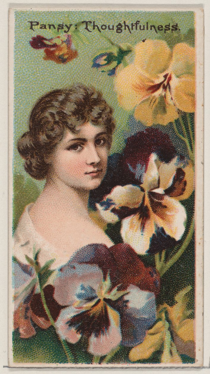 Pansy: Thoughtfulness ، من سلسلة الأزهار الجميلة ولغة الزهور N75 لـ D ... ، 1892. بواسطة دونالدسون براذرز