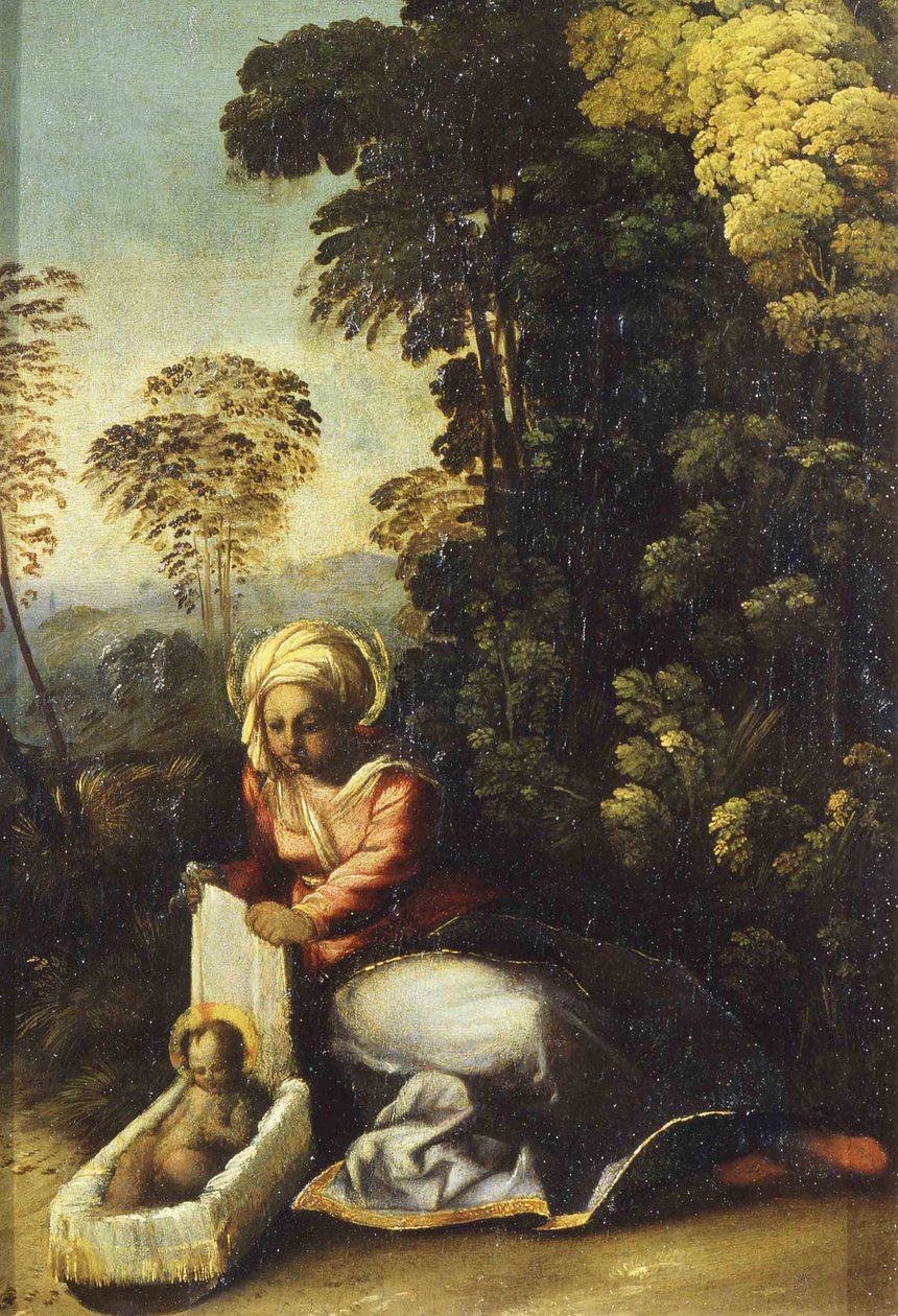 مادونا مع الطفل لا زينجاريلا ، ج. 1513 بواسطة دوسو دوسي