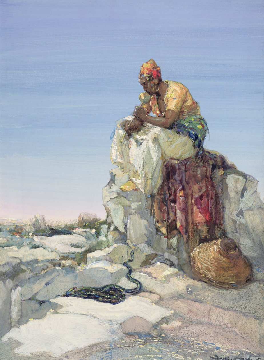 ثعبان تشارمر ، 1900 بواسطة دادلي هاردي