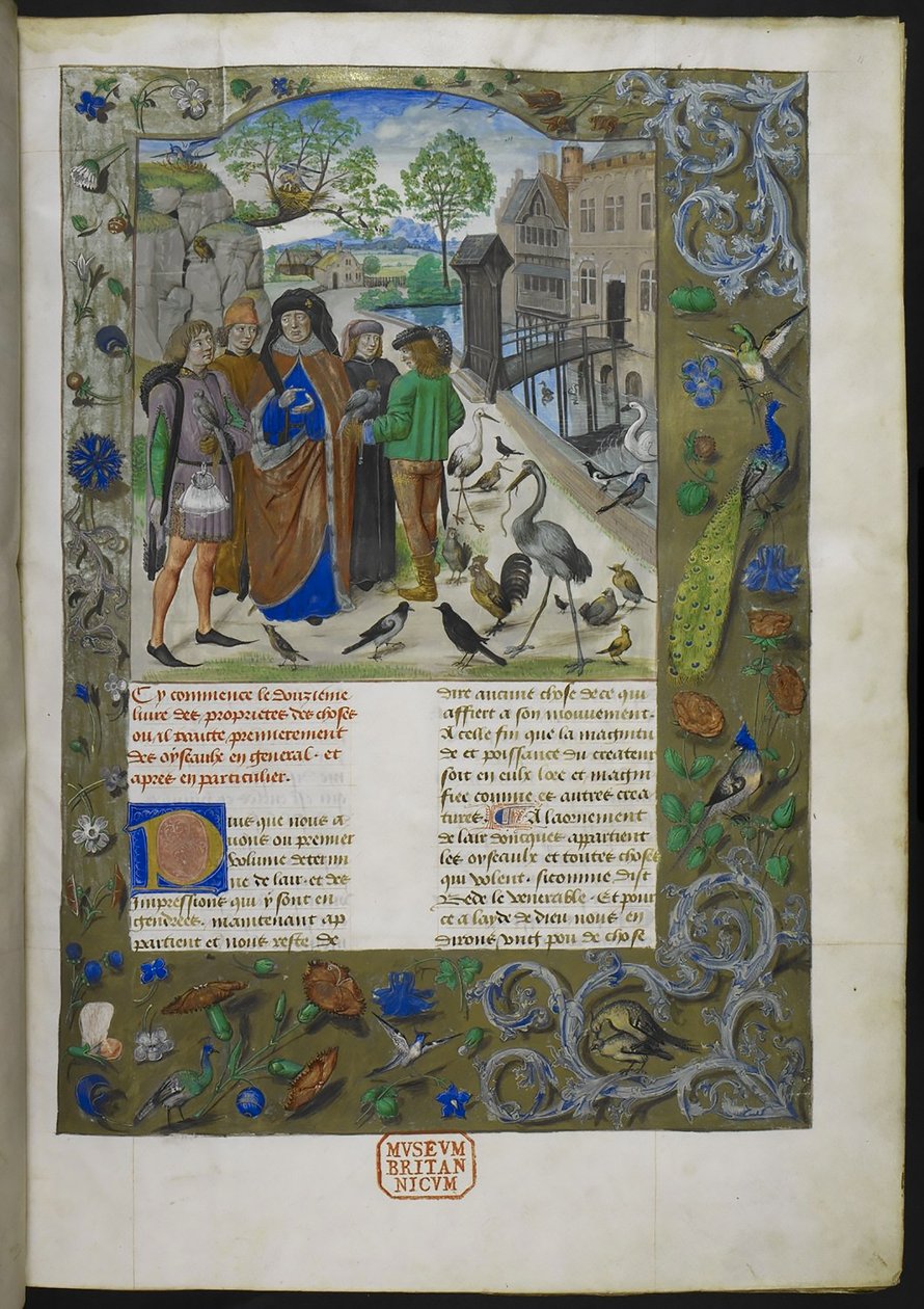 Bartholomaeus Angelicus ، من De proprietatibus rerum بالفرنسية (Livre des proprietez des choses) ، Royal 15 E III ، ص. 11 بواسطة المدرسة الهولندية