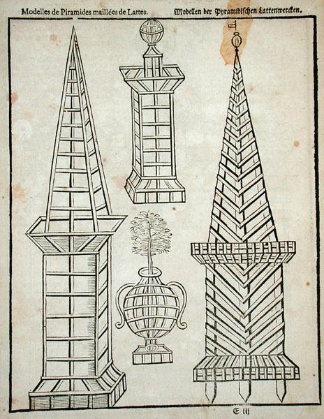 أهرامات شبكية ، من "البستاني الهولندي" بقلم يوهان فان دير جروين ، نُشرت عام 1699 (نقش) بواسطة المدرسة الهولندية