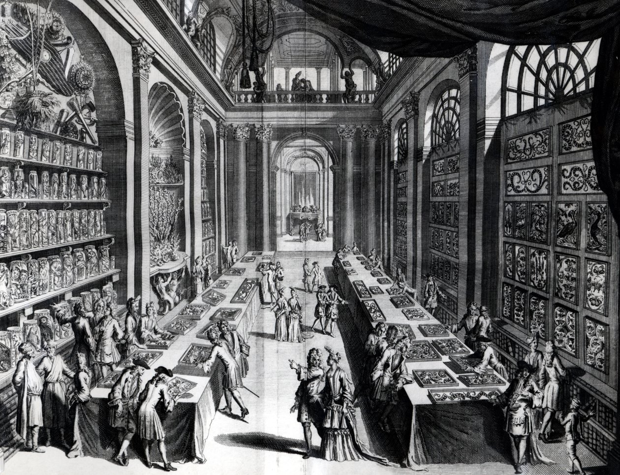 مجموعة ليفين فنسنت من الفضول ، توضيح من مسرح de Merveilles de la Nature ، c.1719 بواسطة المدرسة الهولندية