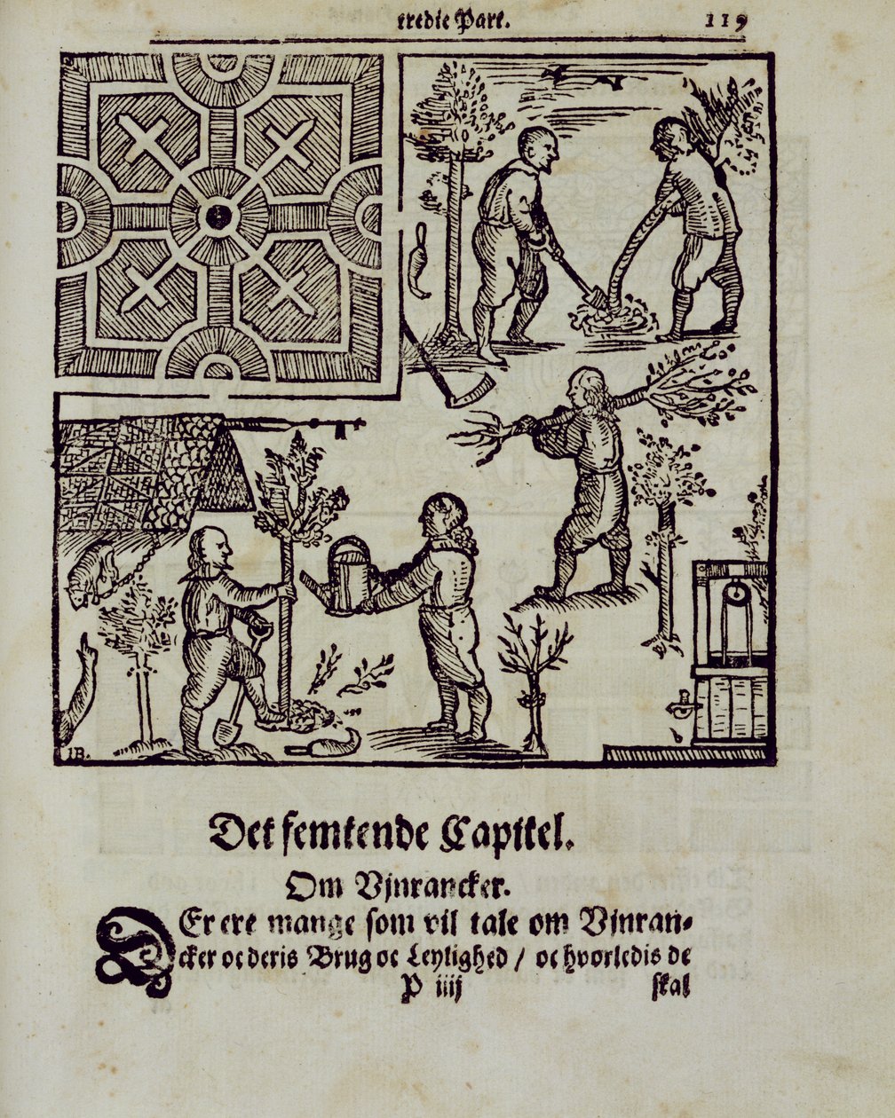 زراعة الأشجار ، من The Garden Gardener بقلم Johann van der Groen ، تم نشره عام 1699 بواسطة المدرسة الهولندية
