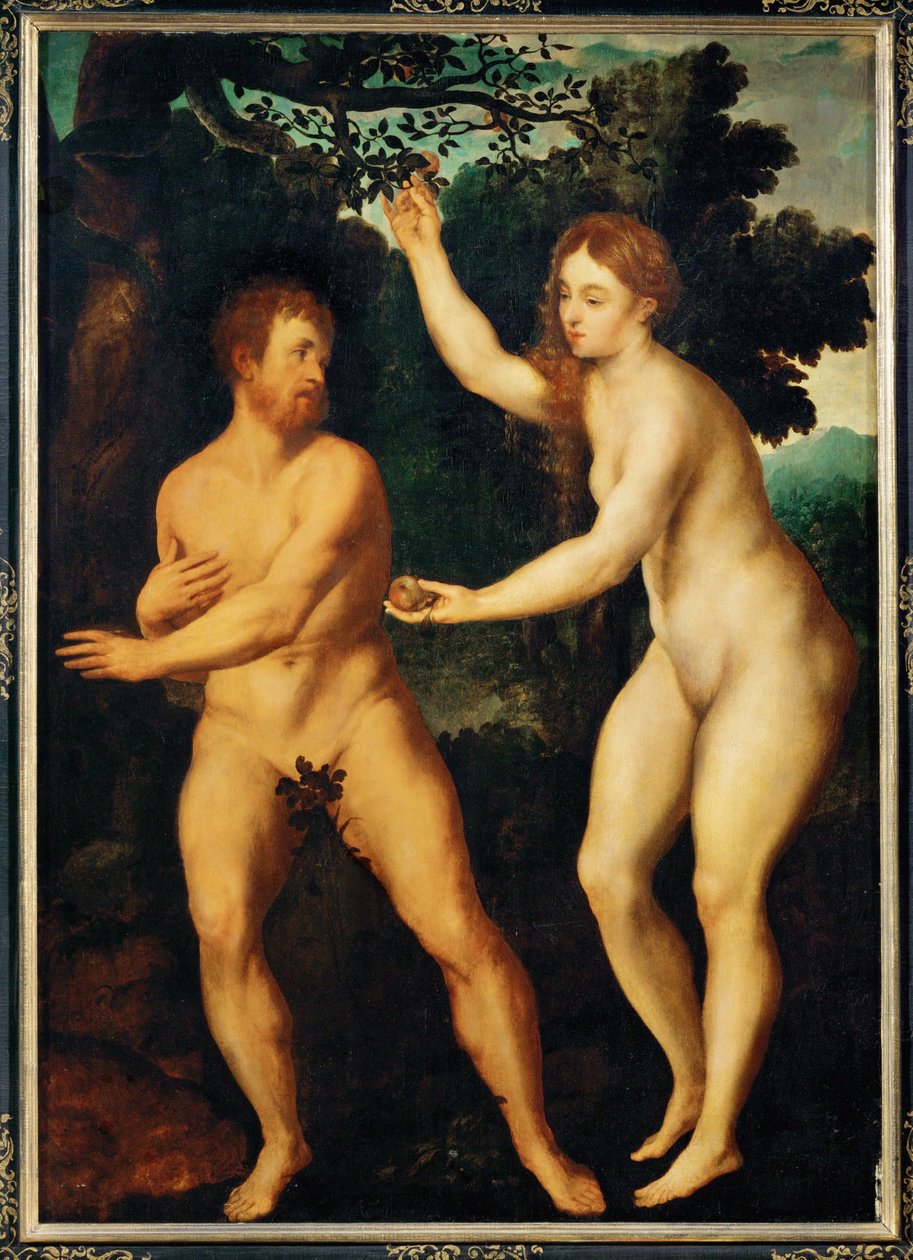 السقوط بواسطة المدرسة الهولندية