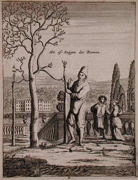 تدريب إسبالير ، من "De Nederlandze Hesperides" بقلم جان كوملين ، نُشر عام 1676 (نقش) بواسطة المدرسة الهولندية