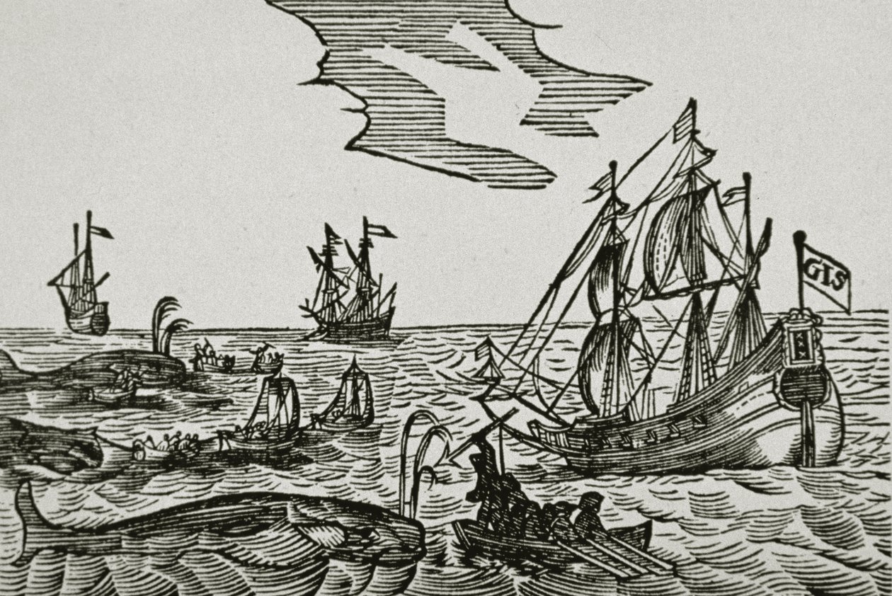 Whaling ships, from Jacob Segersz van der Brugge