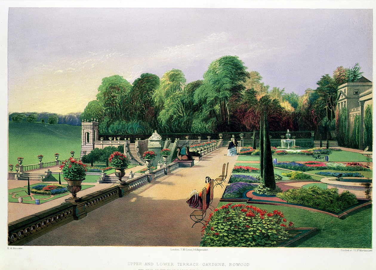 حدائق التراس العلوية والسفلية في بوود ، من "حدائق إنجلترا" ، تم نشرها عام 1857 (chromolitho) بواسطة إ. أدفينو بروك