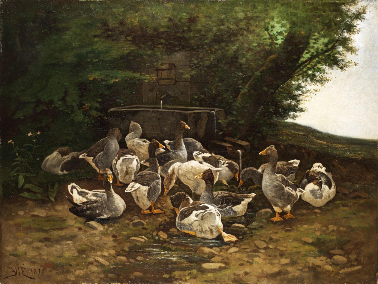 اوز Greylag في نافورة الحجر بواسطة E. Vié