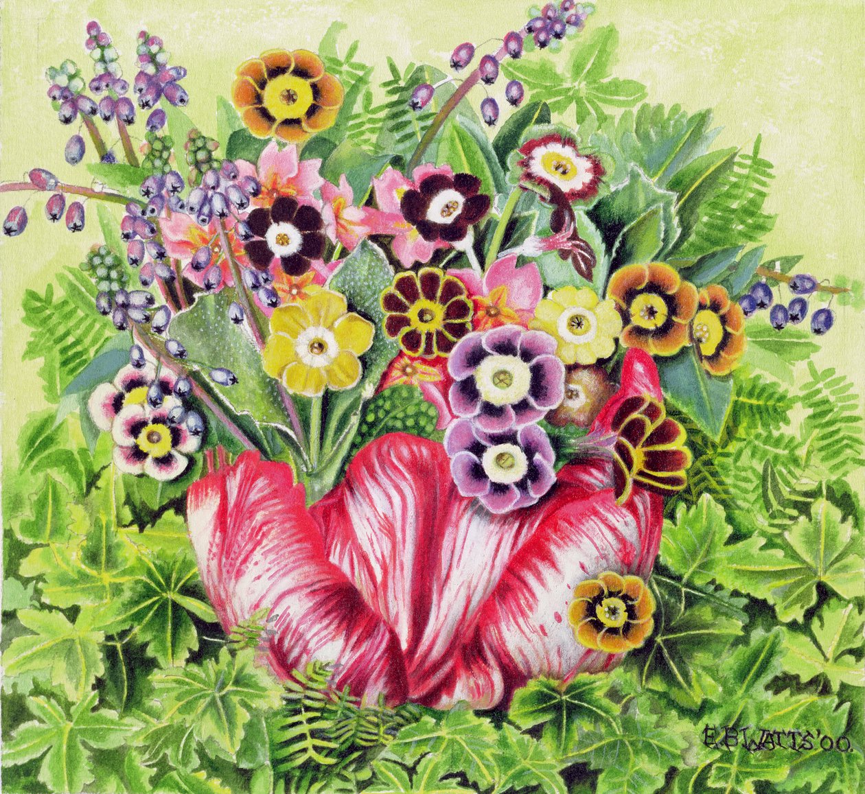 Auriculas ، 2000 (أكريليك على قماش) بواسطة واتس
