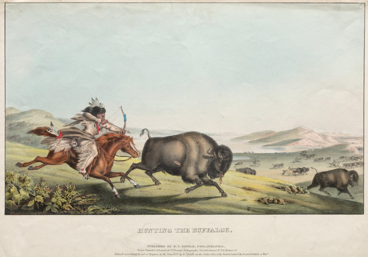 صيد الجاموس 1837. بواسطة EC بيدل
