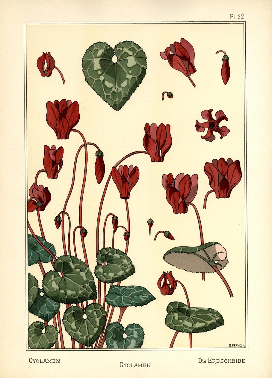 بخور مريم بواسطة E. Hervegh