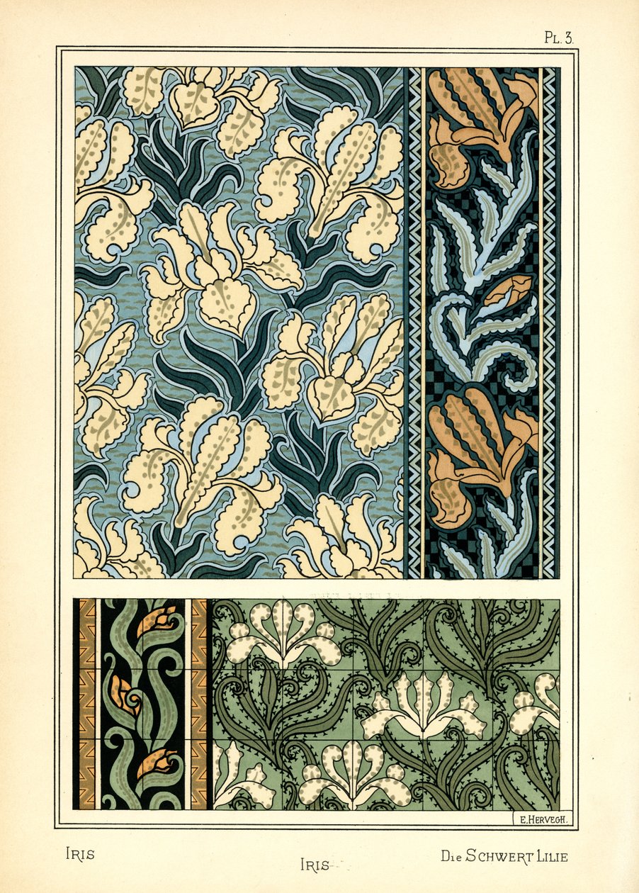 يوجد عندهم بواسطة E. Hervegh