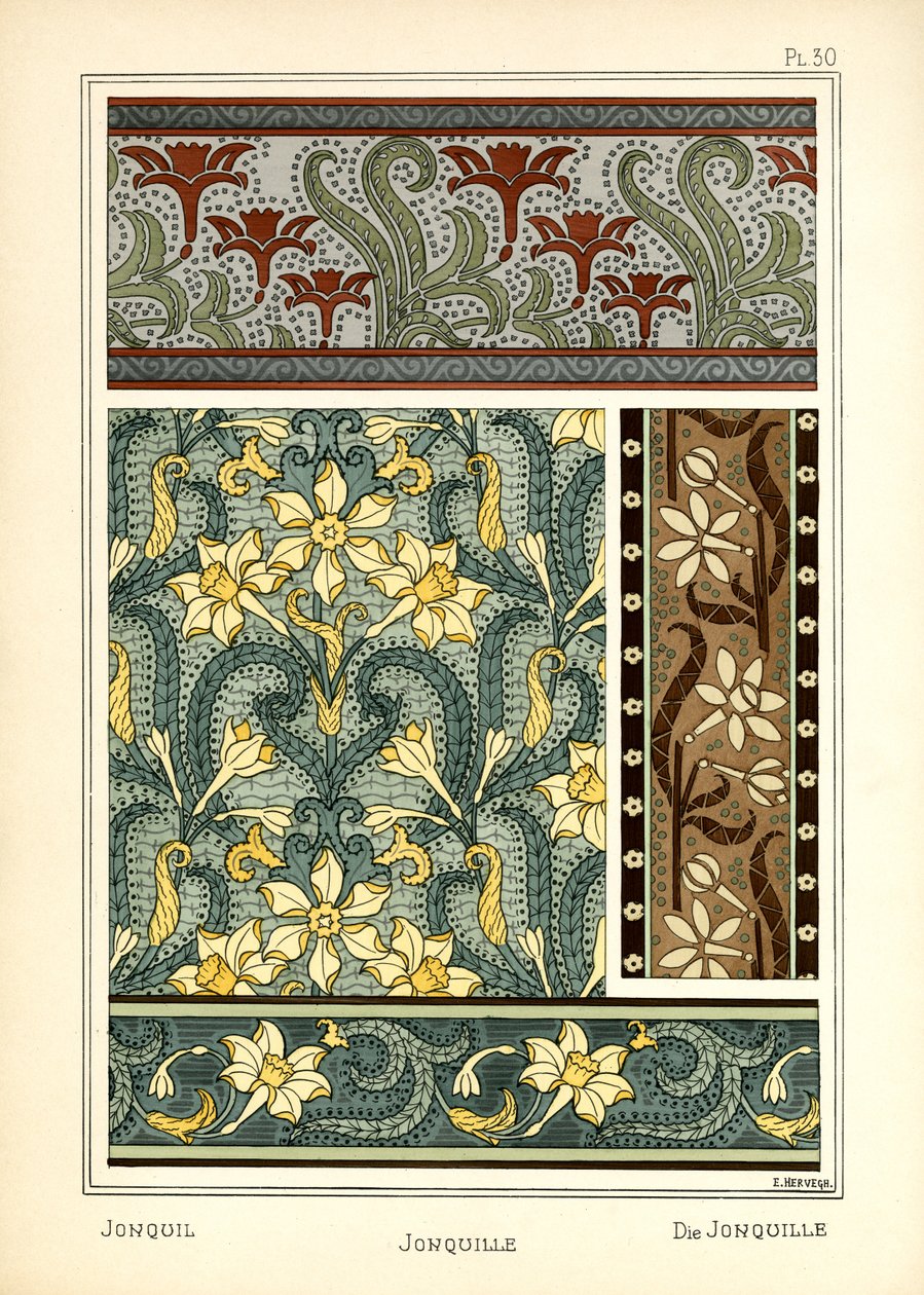 جونكيل بواسطة E. Hervegh