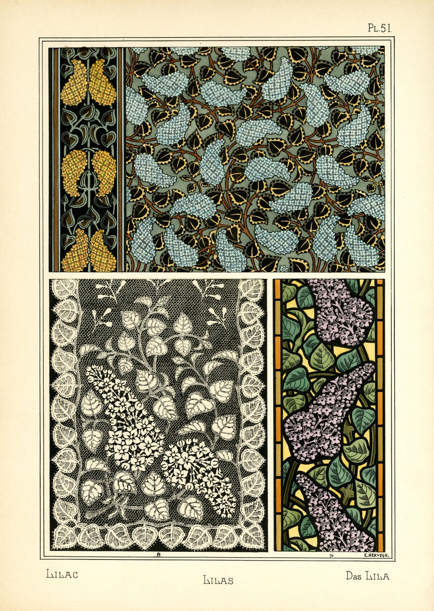 Lilas بواسطة E. Hervegh