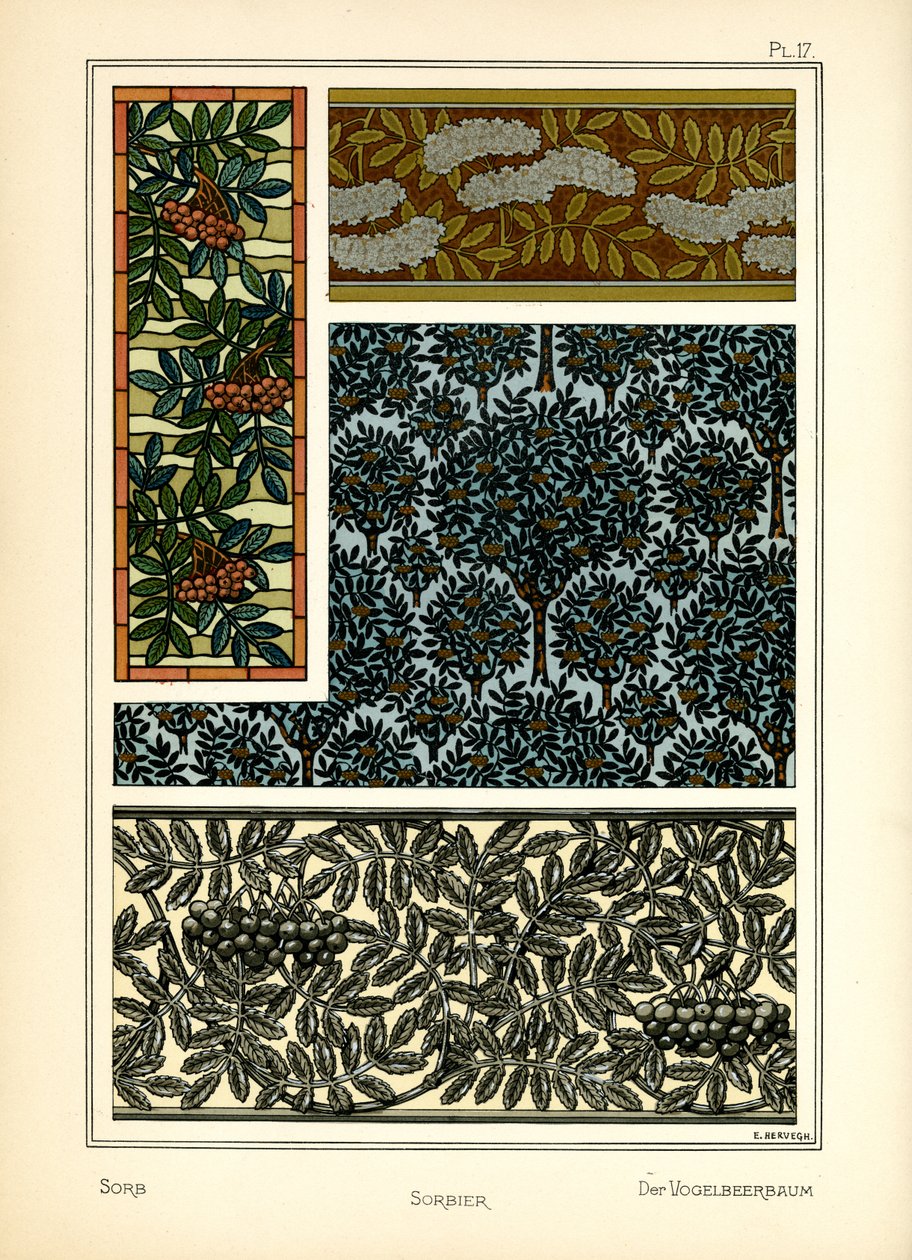 السوربا بواسطة E. Hervegh
