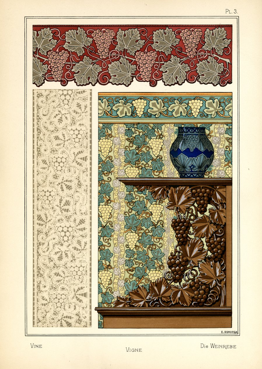الكرمة بواسطة E. Hervegh