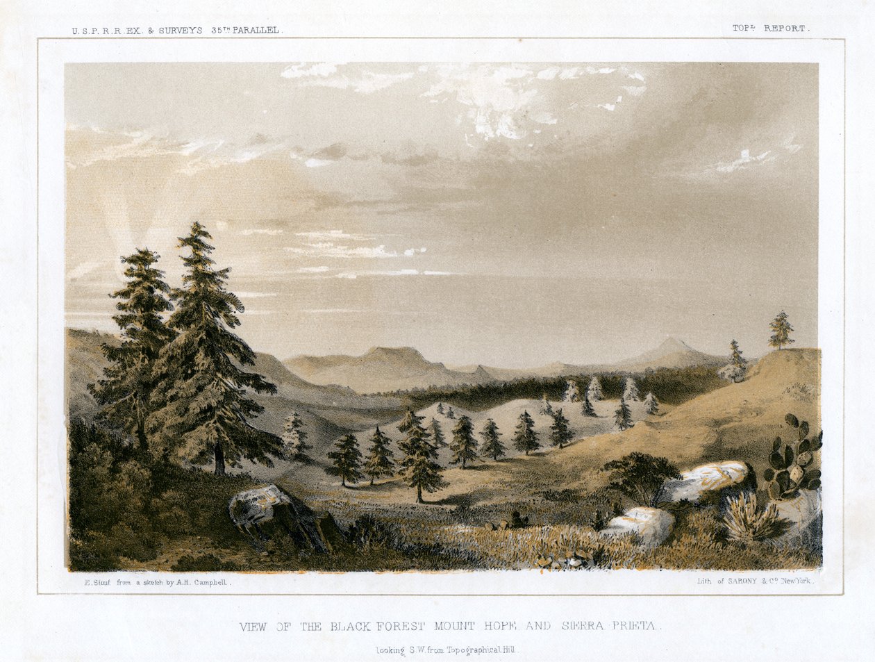 الغابة السوداء ماونت هوب وسييرا برييتا ، الولايات المتحدة الأمريكية ، 1856. بواسطة البريد شجاع