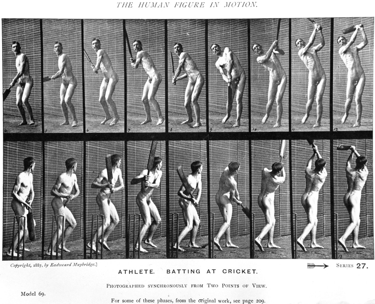 لاعب كريكيت ، من "حركة الحيوانات" ، 1887 بواسطة ايدويرد مويبريدج