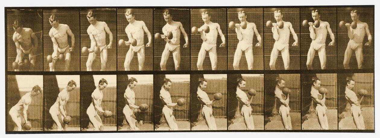 صورة من سلسلة "تحركات الحيوانات" ، ج 1887 بواسطة ايدويرد مويبريدج