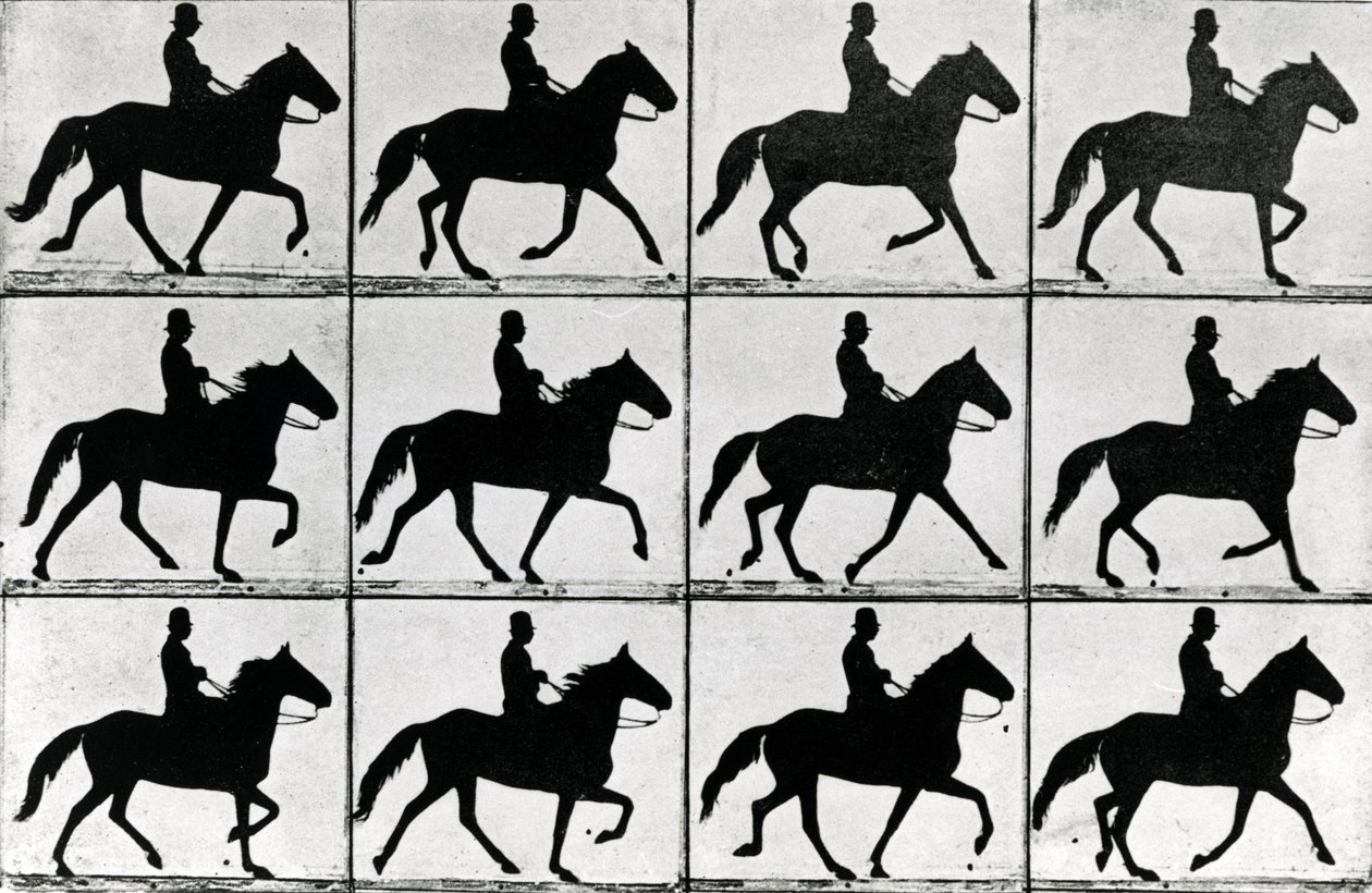 خطوة واحدة في مراحل أحد عشر ، 1881 ، التوضيح من "الحيوانات في الحركة" بواسطة Eadweard Muybridge ، طبعة 1907 بواسطة ايدويرد مويبريدج