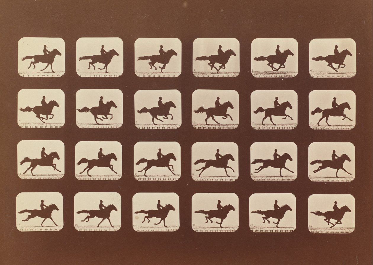 خيل. ادارة. Phyrne L. رقم 40 ، 1879. بواسطة ايدويرد مويبريدج