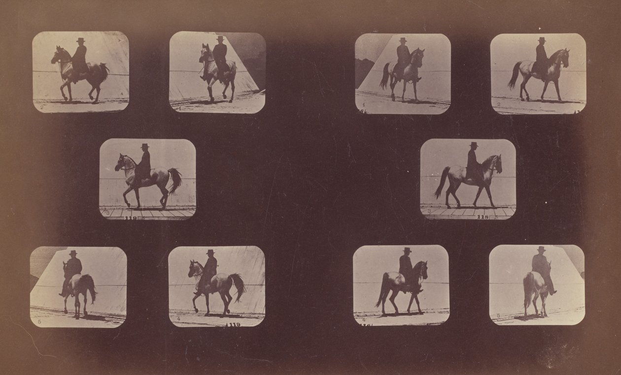 دراسات التقصير المسبق. خيل. المشي. ماهوميت. رقم 119-120 ، 1879. بواسطة ايدويرد مويبريدج