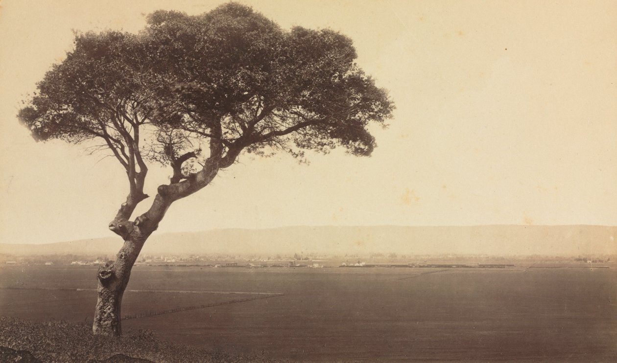 منظر طبيعي بدون عنوان بالقرب من واتسونفيل ، كاليفورنيا ، ج. 1879. بواسطة ايدويرد مويبريدج