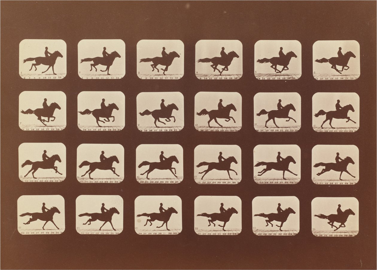 خيل. جري. Phyrne L. رقم 40 بواسطة ايدويرد مويبريدج