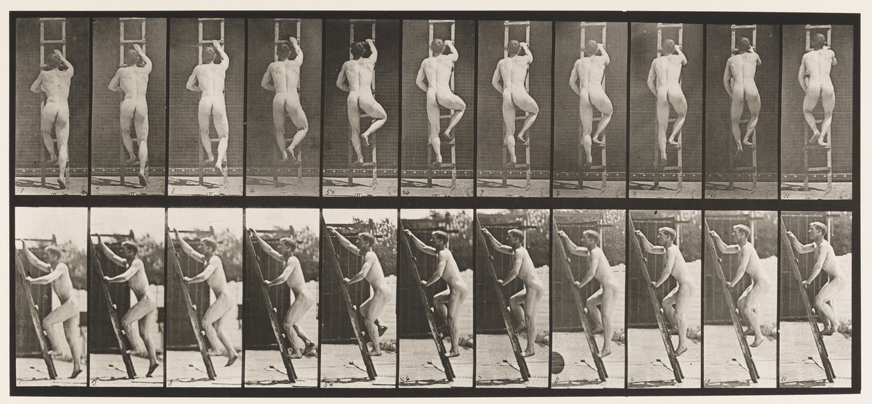 Plate 111. Ascending Ladder بواسطة ايدويرد مويبريدج