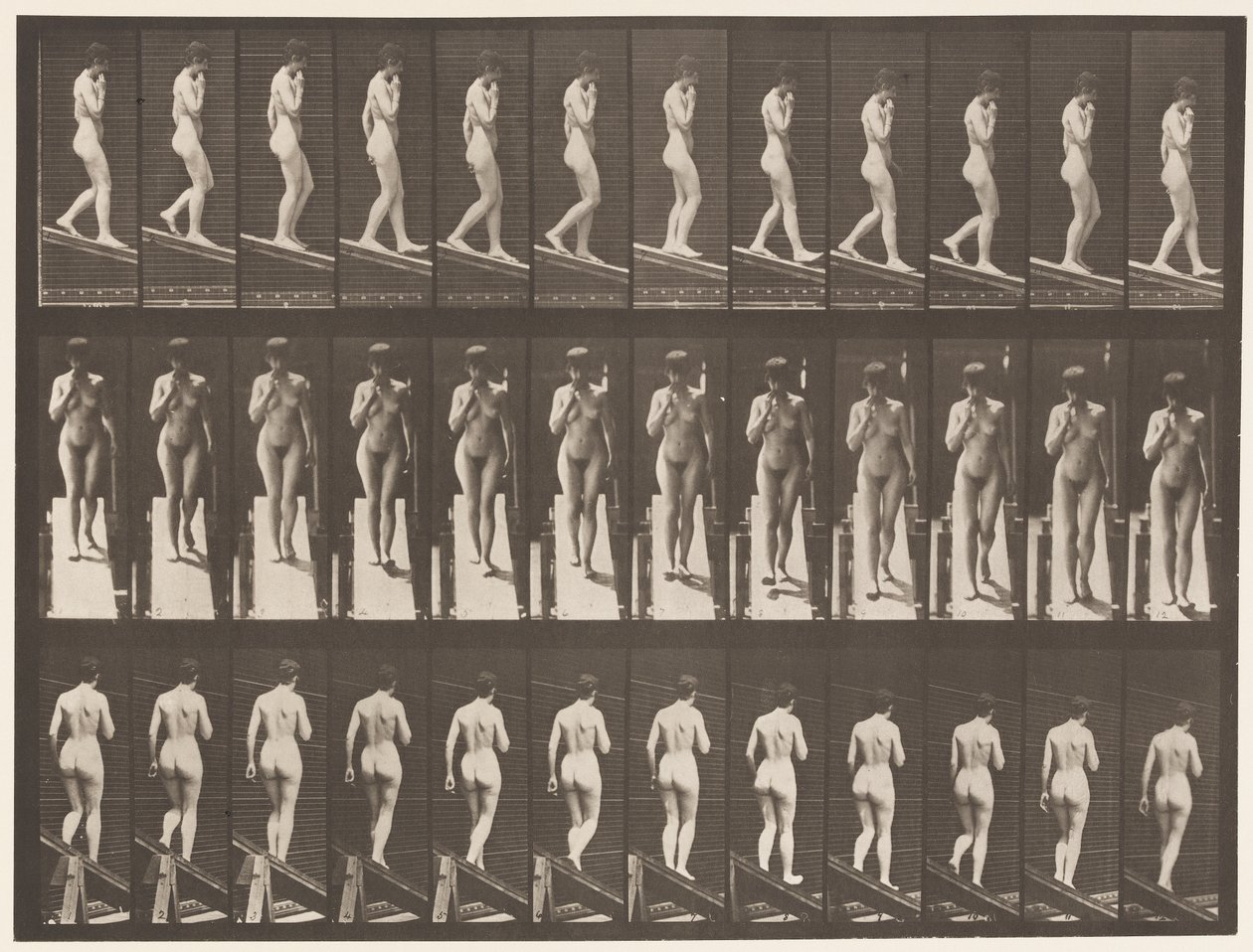 Plate 116. Descending Incline, One Hand On Chin بواسطة ايدويرد مويبريدج