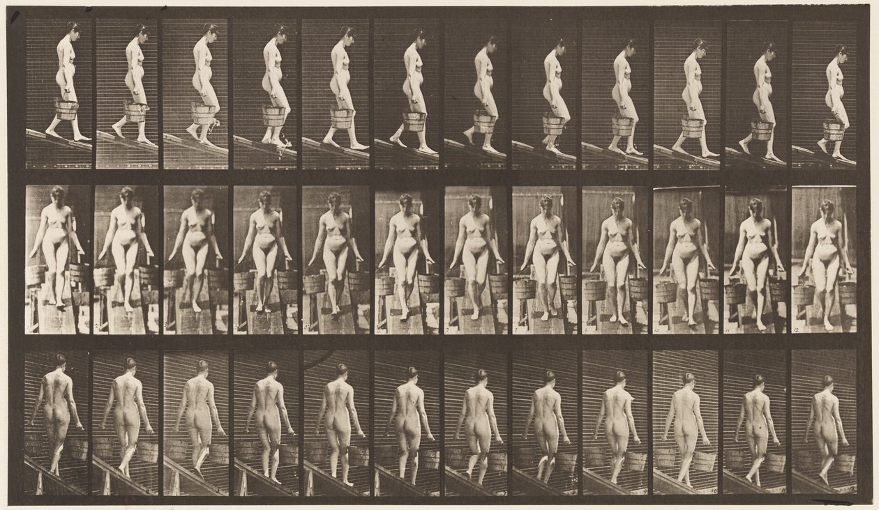 Plate 121. Descending Incline, Bucket of Water in Each Hand بواسطة ايدويرد مويبريدج