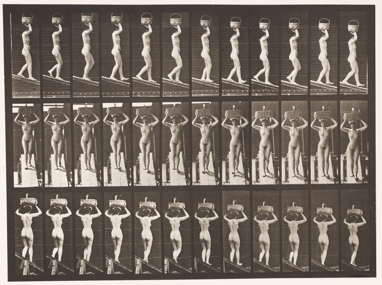 اللوحة 124. المنحدر الهابط ، سلة 20 رطل على الرأس ، رفع اليدين ، 1872-1885 بواسطة ايدويرد مويبريدج