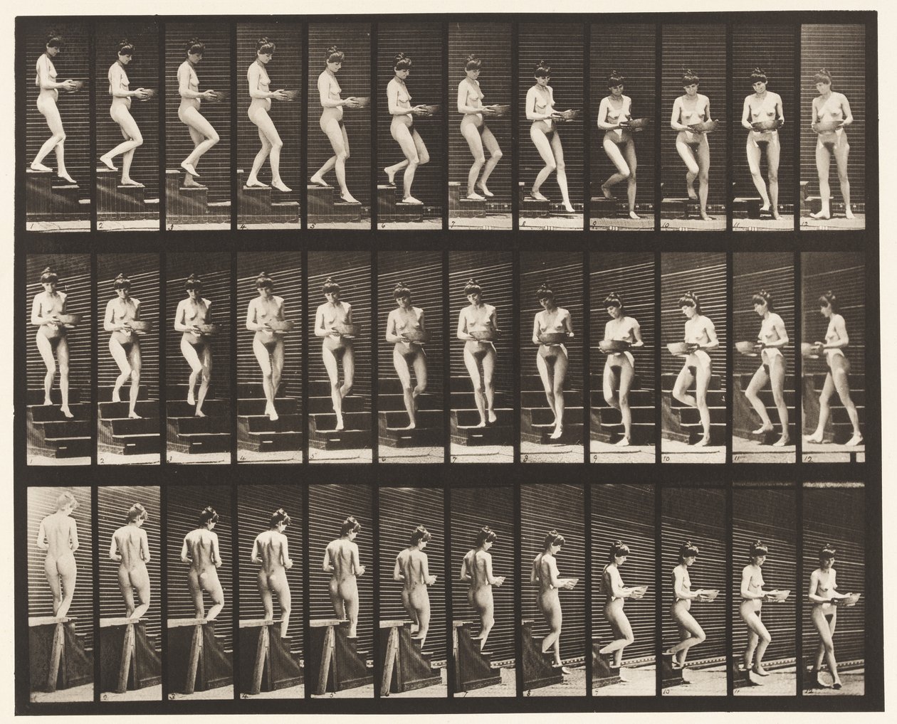 Plate 144. Descending Stairs; Turning Basin in Hands بواسطة ايدويرد مويبريدج