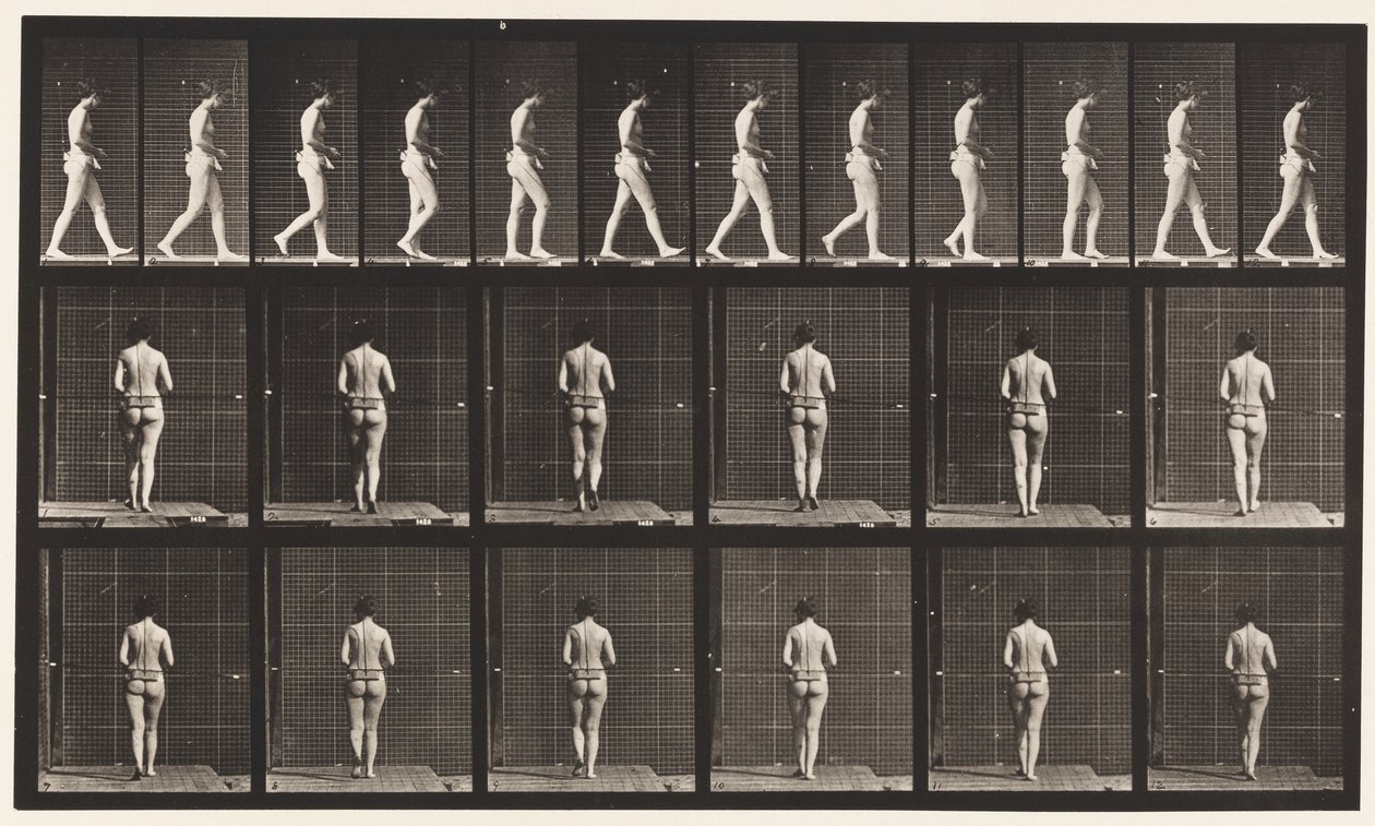 Plate 21. Walking, Both Elbows Bent بواسطة ايدويرد مويبريدج