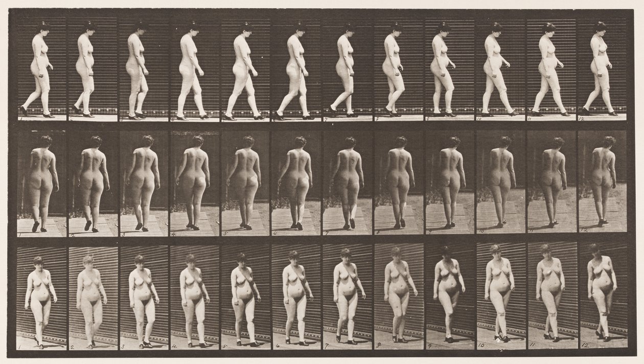 Plate 24. Walking, With High-Heeled Shoes On بواسطة ايدويرد مويبريدج