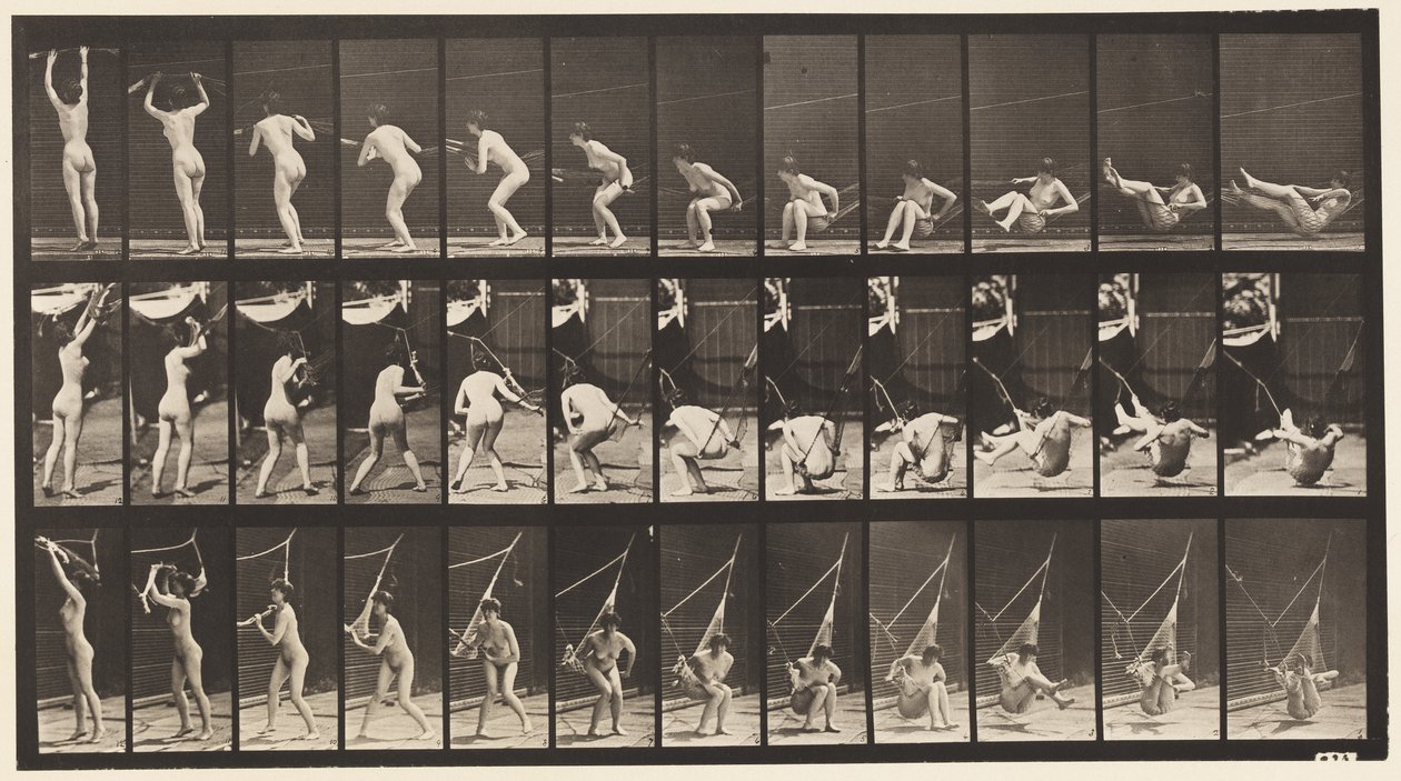 Plate 262. Getting out of Hammock بواسطة ايدويرد مويبريدج