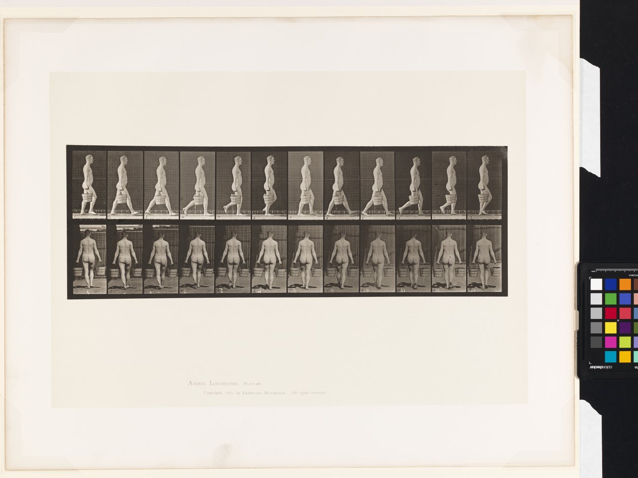 Plate 30. Walking, Carrying Bucket of Water in Each Hand بواسطة ايدويرد مويبريدج