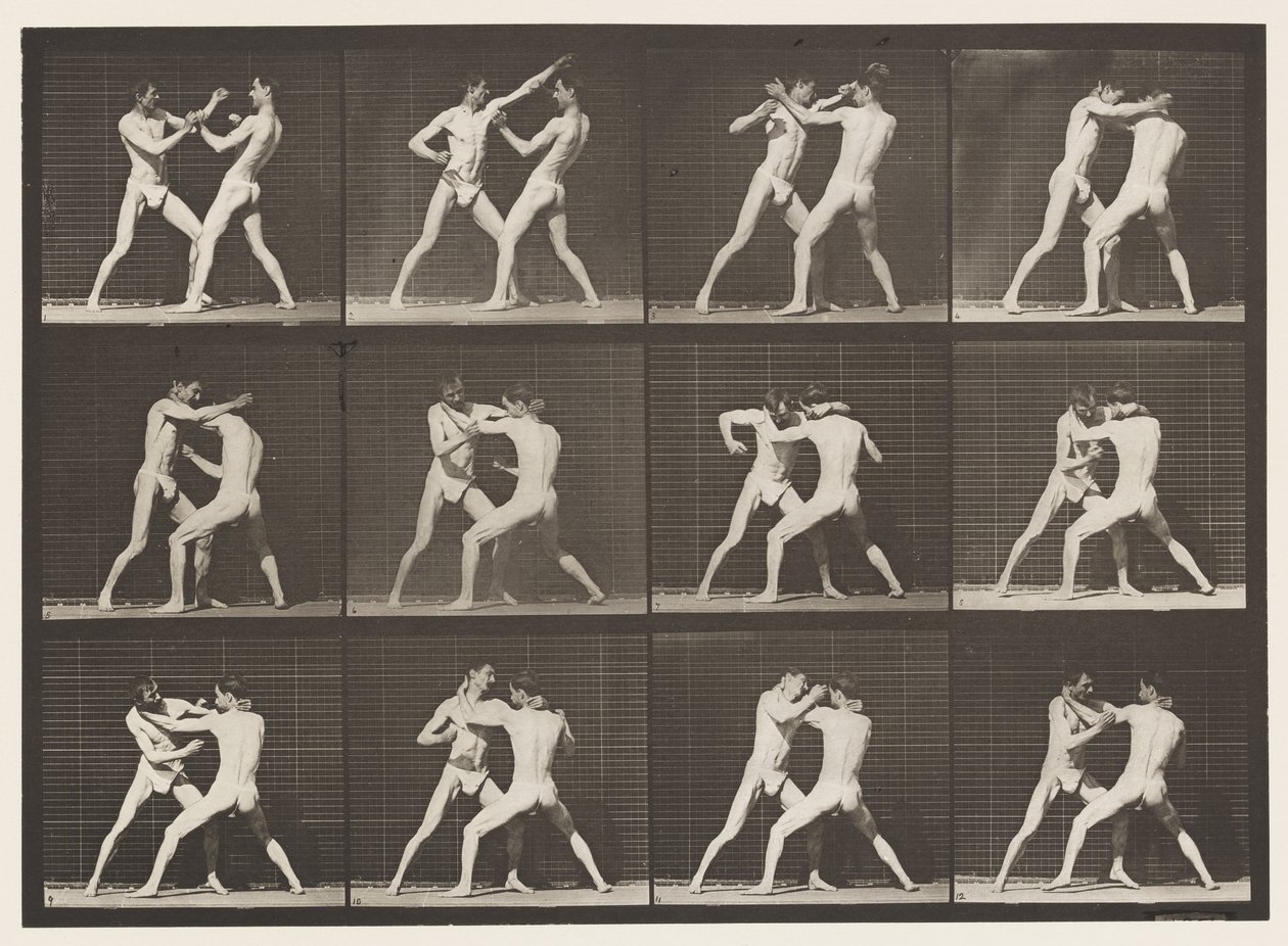 Plate 340. Boxing; Open Hand بواسطة ايدويرد مويبريدج