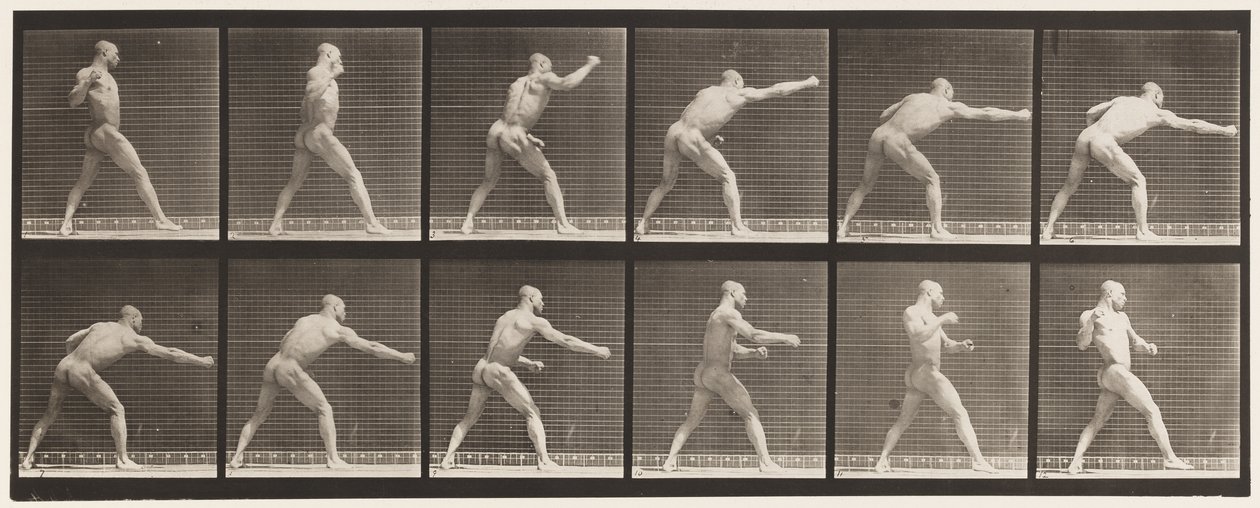 Plate 344. Striking a Blow (Right Hand) بواسطة ايدويرد مويبريدج