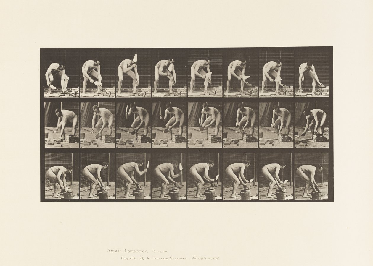 Plate 381. Mason, Laying a Brick بواسطة ايدويرد مويبريدج