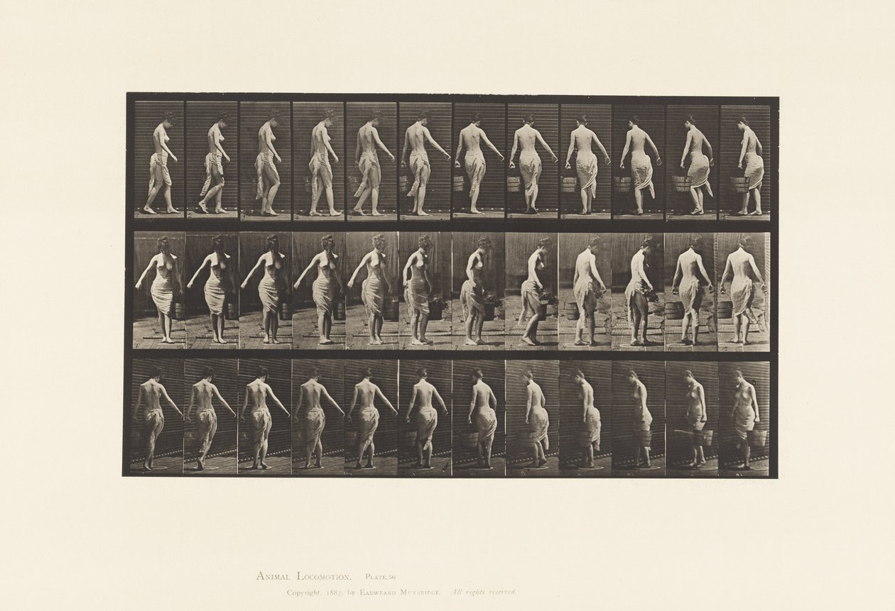 Plate 50. Walking, Carrying a bucket بواسطة ايدويرد مويبريدج