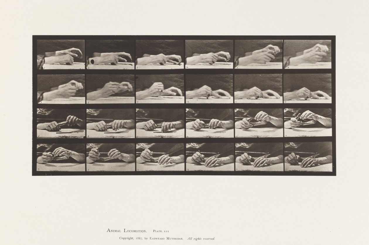 Plate 536. Movement of the Hand; Hands Changing Pencil بواسطة ايدويرد مويبريدج