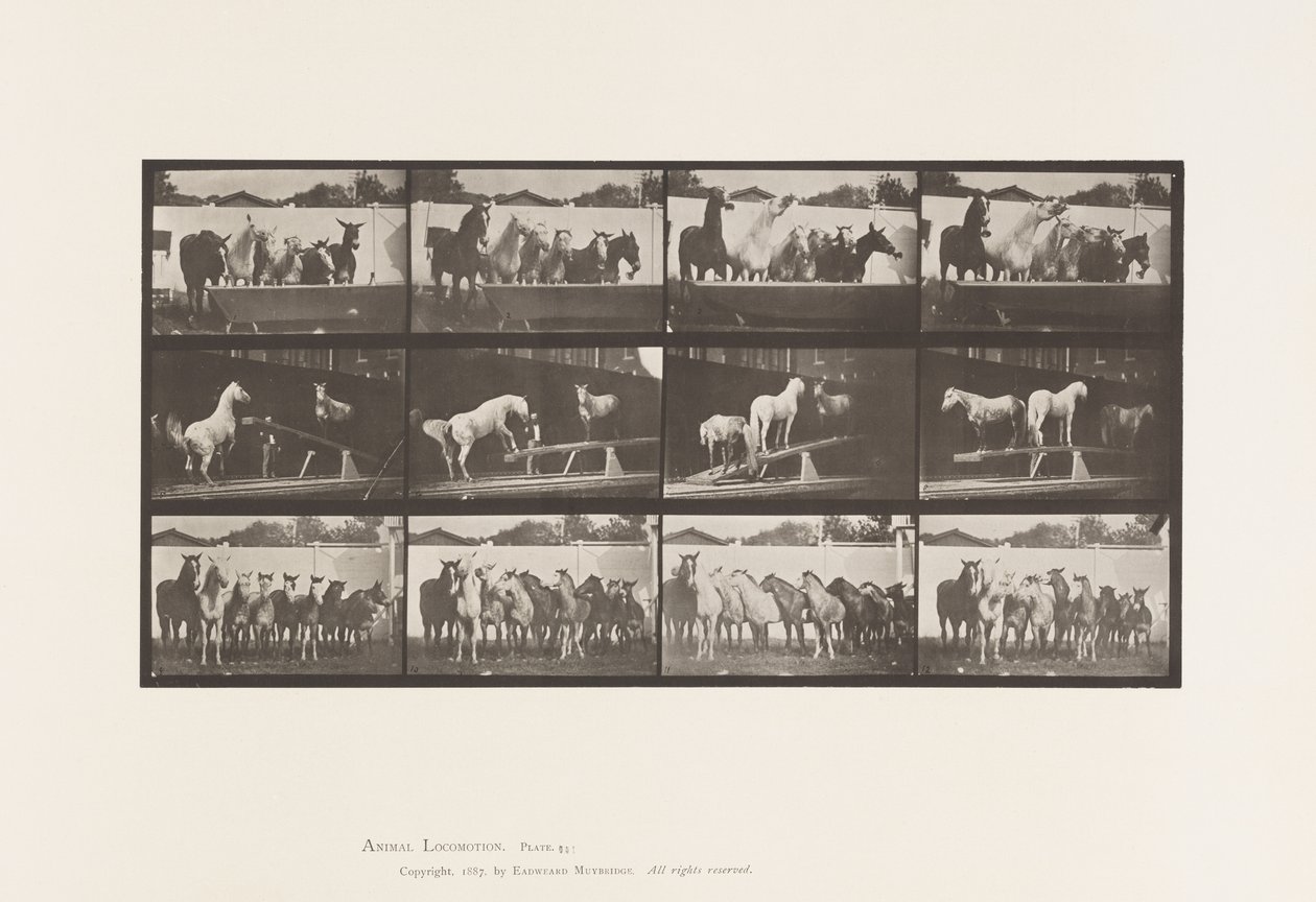 Plate 651.A, Bell ringing; B, Teeter Board; C, Military Drill بواسطة ايدويرد مويبريدج