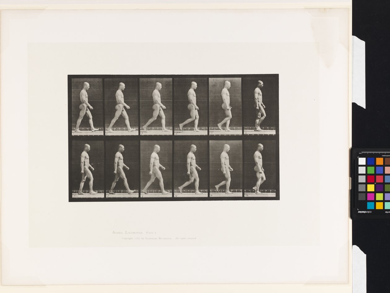 Plate 6.Walking بواسطة ايدويرد مويبريدج