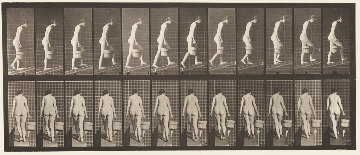 Plate 84. Ascending Incline, Bucket of Water in Right Hand بواسطة ايدويرد مويبريدج