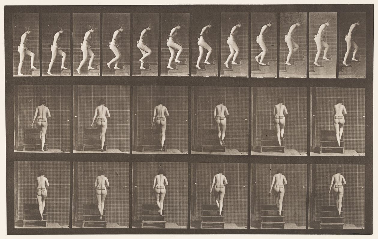 Plate 93. Ascending Stairs بواسطة ايدويرد مويبريدج