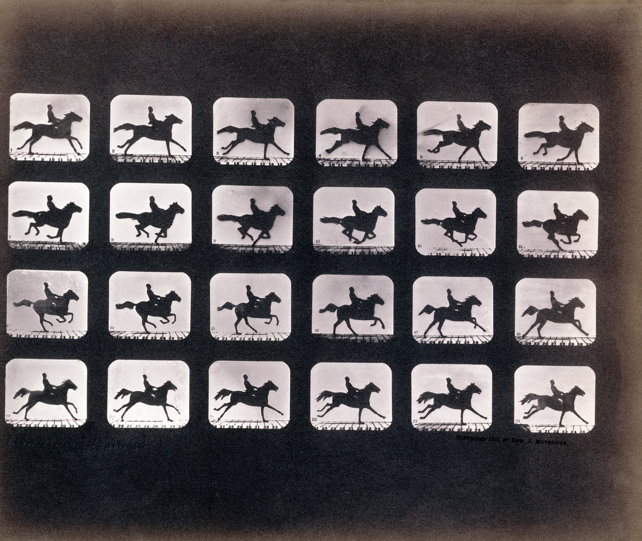الجري (الركض) بواسطة Eadweard J. Muybridge بواسطة ايدويرد مويبريدج