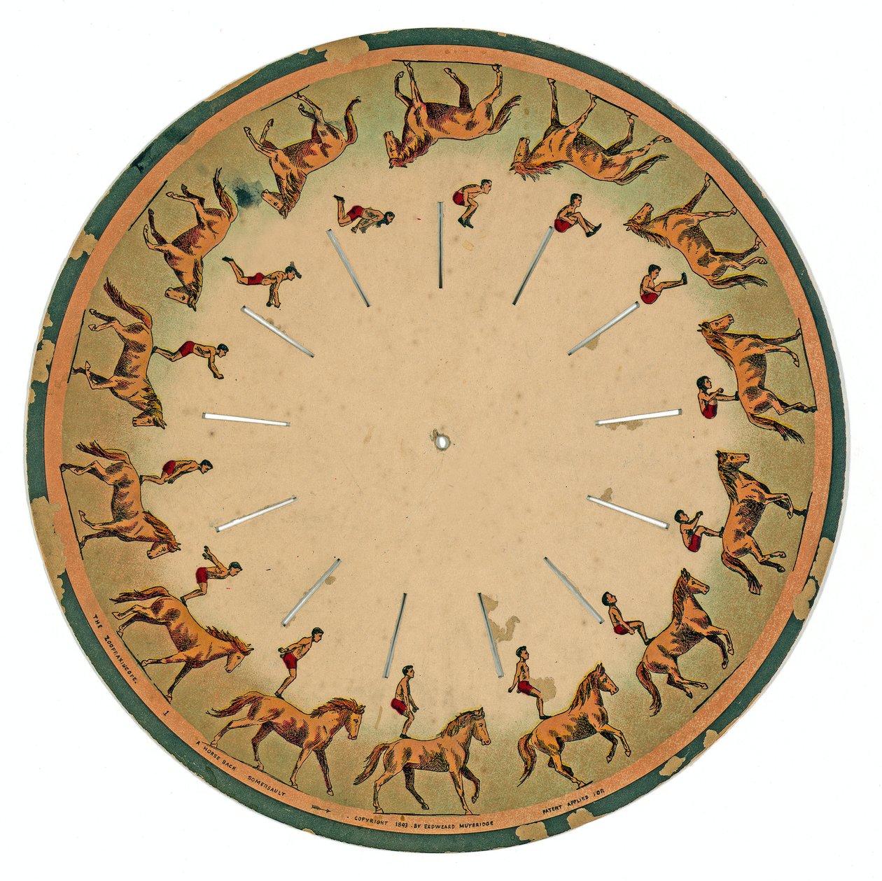 قرص zoopraxiscope يظهر بهلوان يؤدي أداء حصان ظهره شقلبة ، 1893 بواسطة ايدويرد مويبريدج