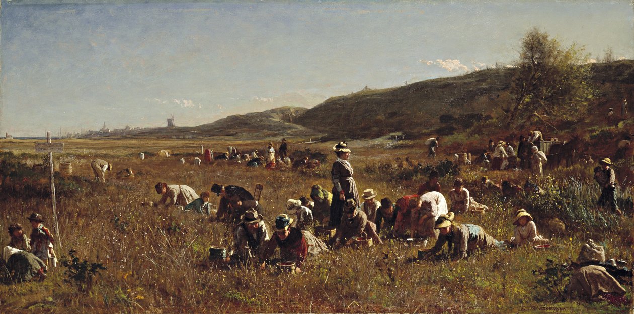 حصاد التوت البري. جزيرة نانتوكيت ، 1880 بواسطة ايستمان جونسون
